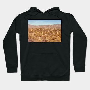 Saguaro Forest Hoodie